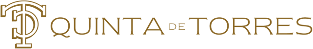 Logo quinta de torres top